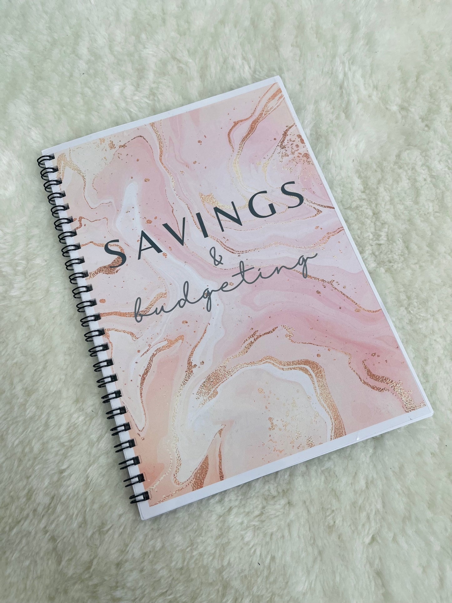 Savings and budgeting book