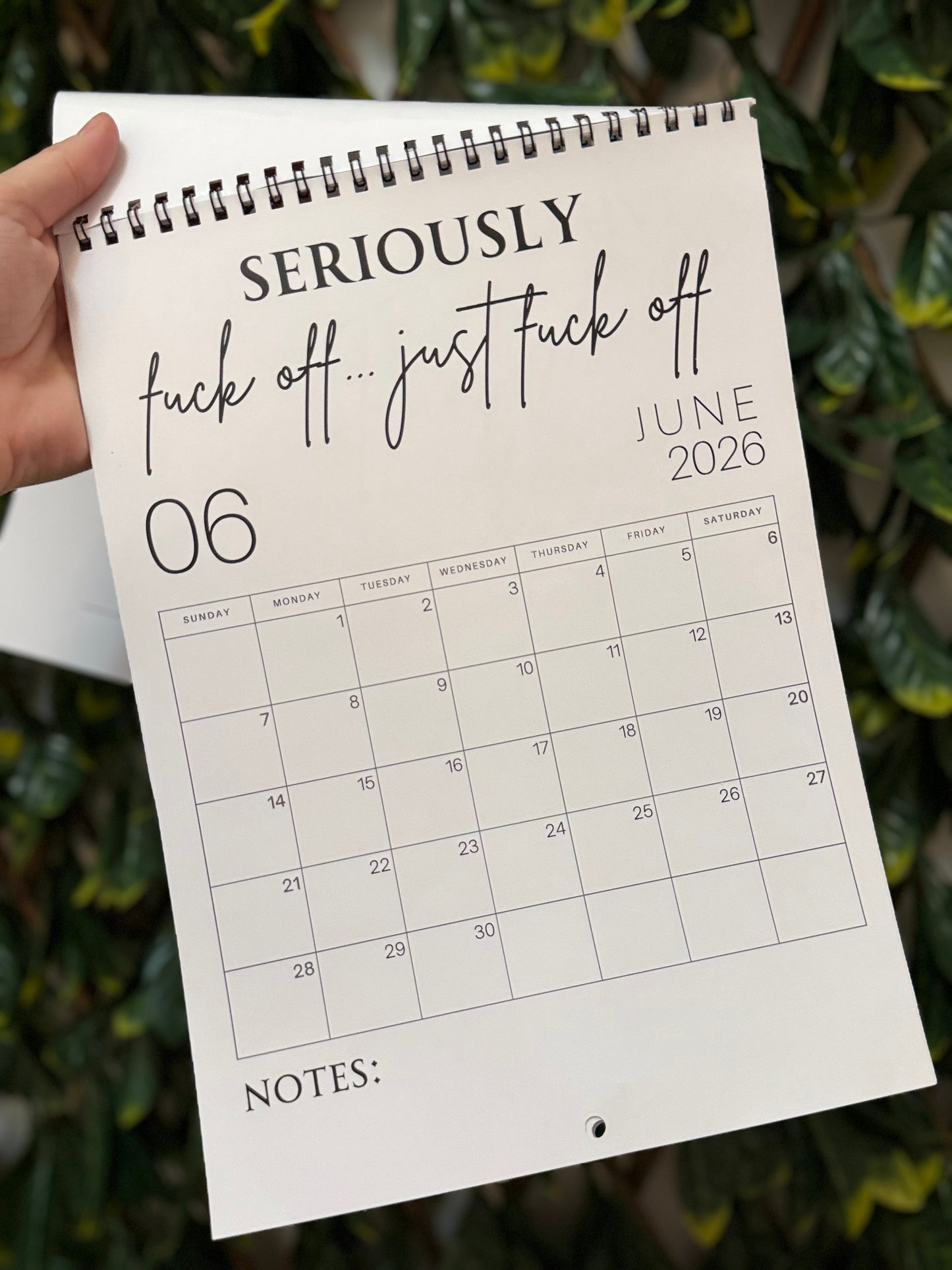 2026 Sweary adult humour calendar