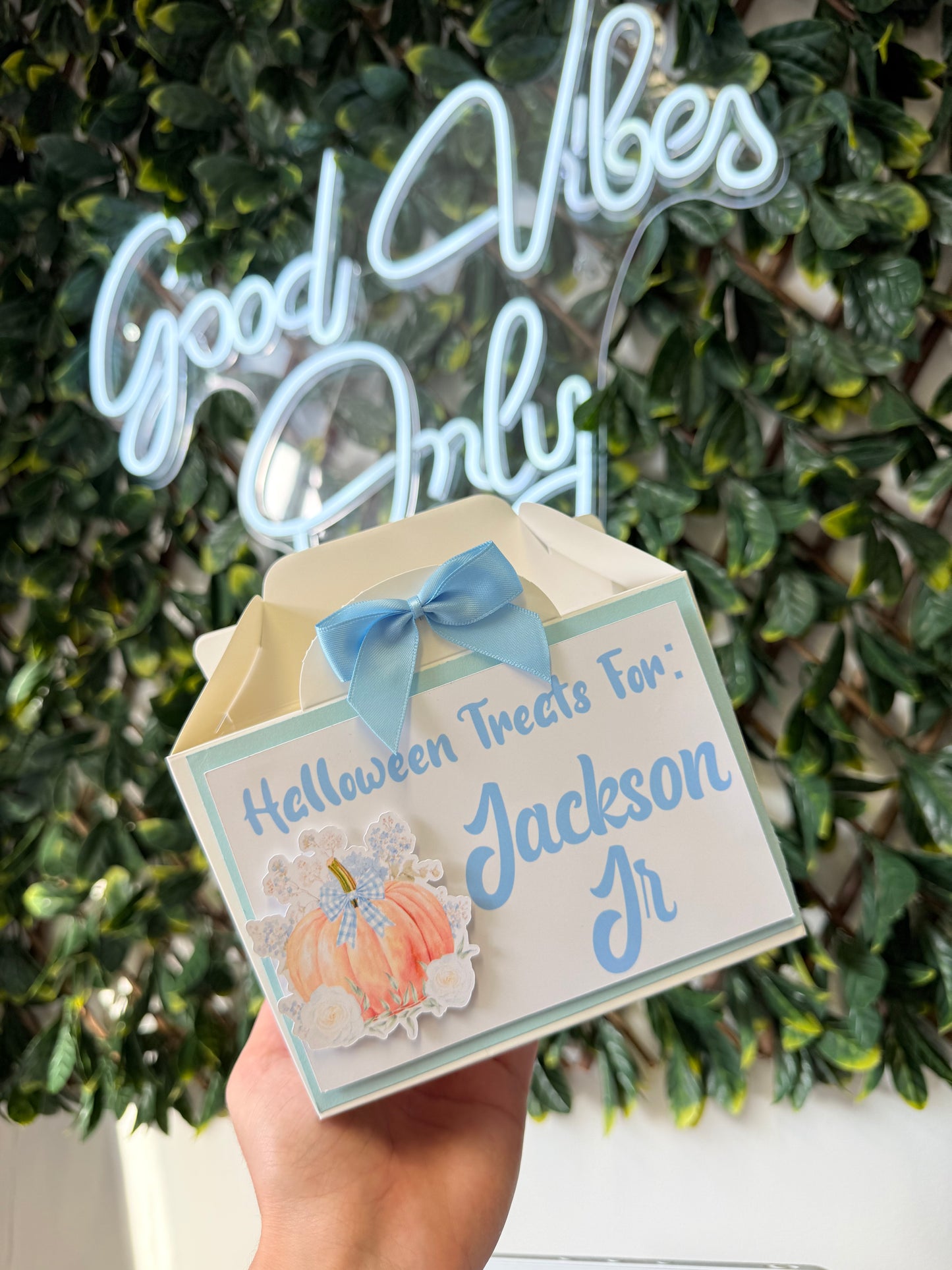Halloween treat box - all designs