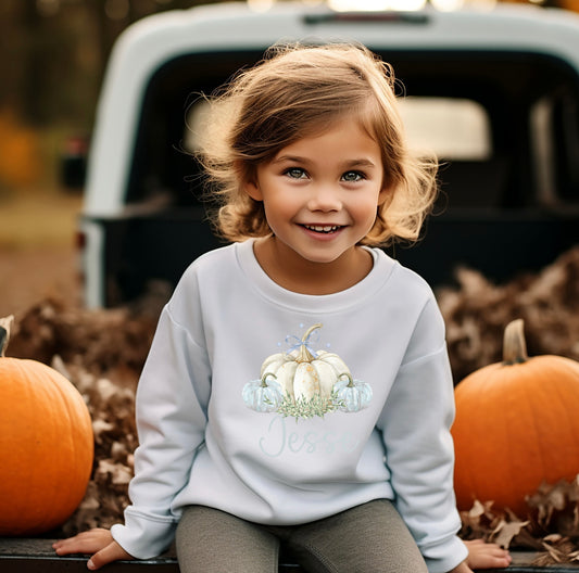 Blue pumpkin jumper/sweatshirt