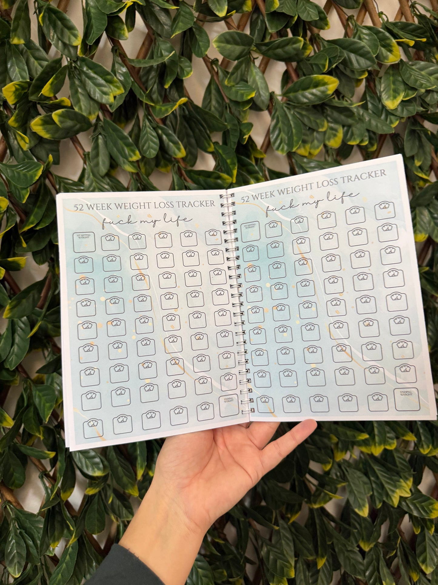 Pink sweary weight loss book