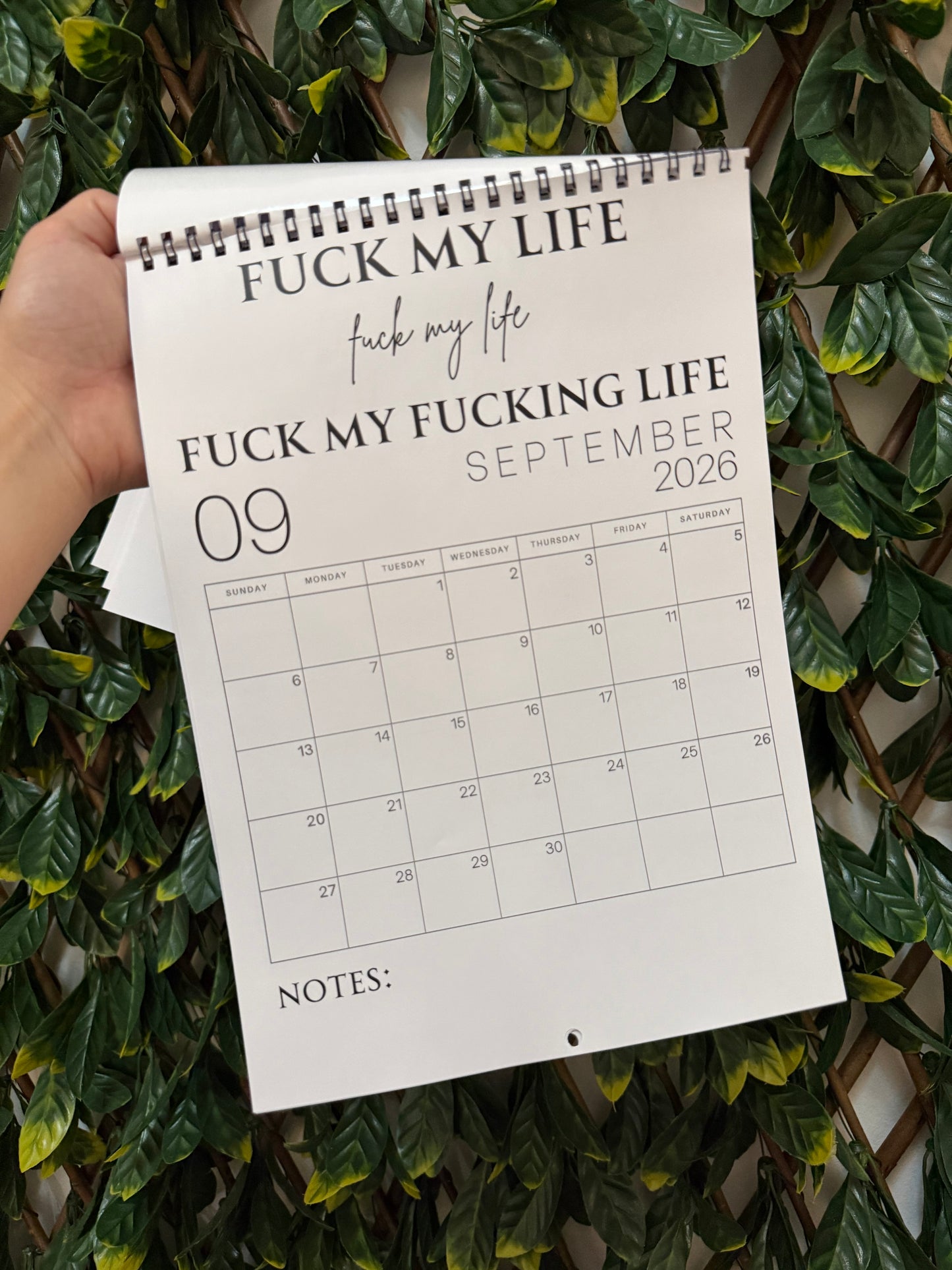 2026 Sweary adult humour calendar