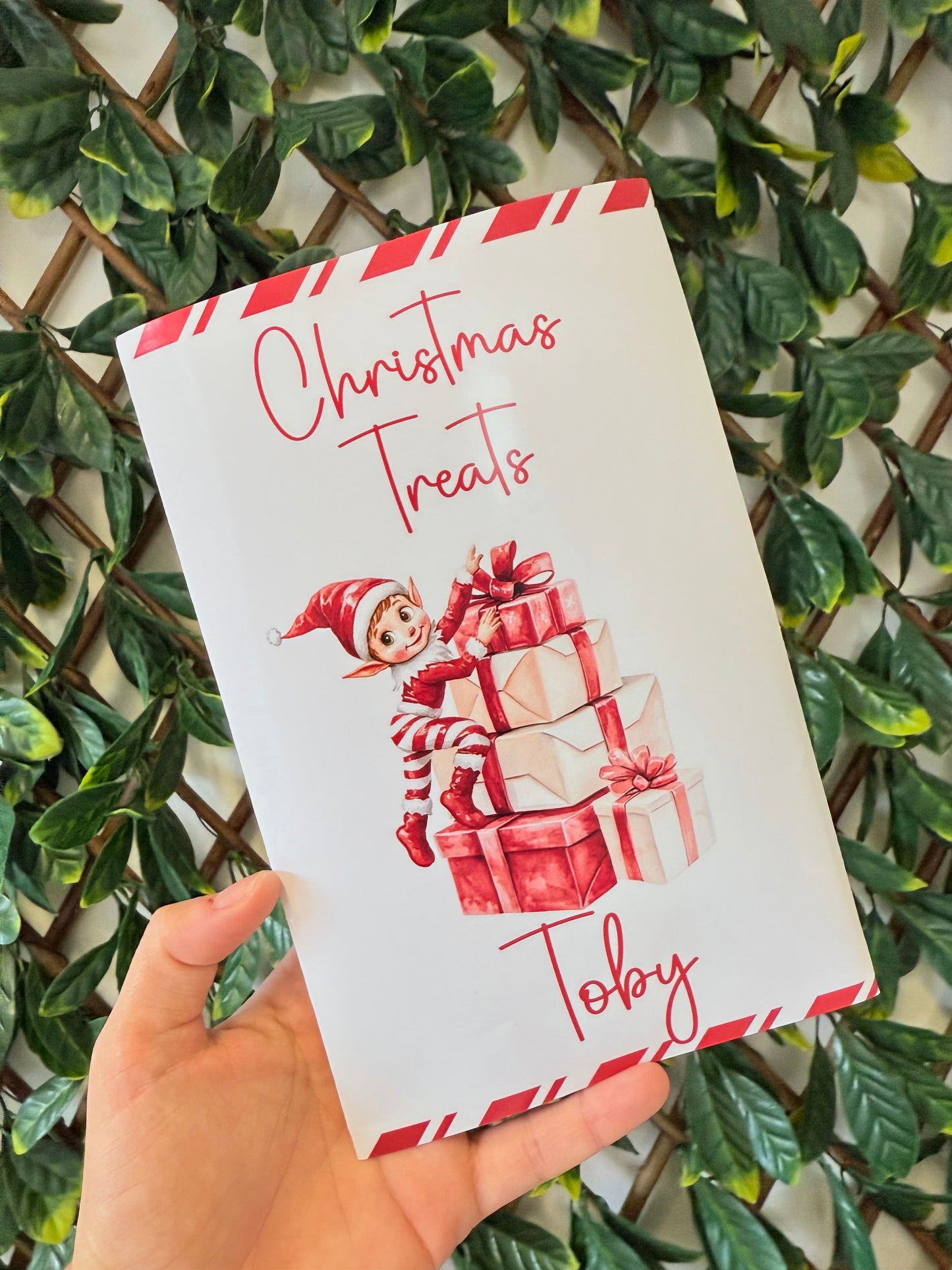 Unfilled Christmas treat packet