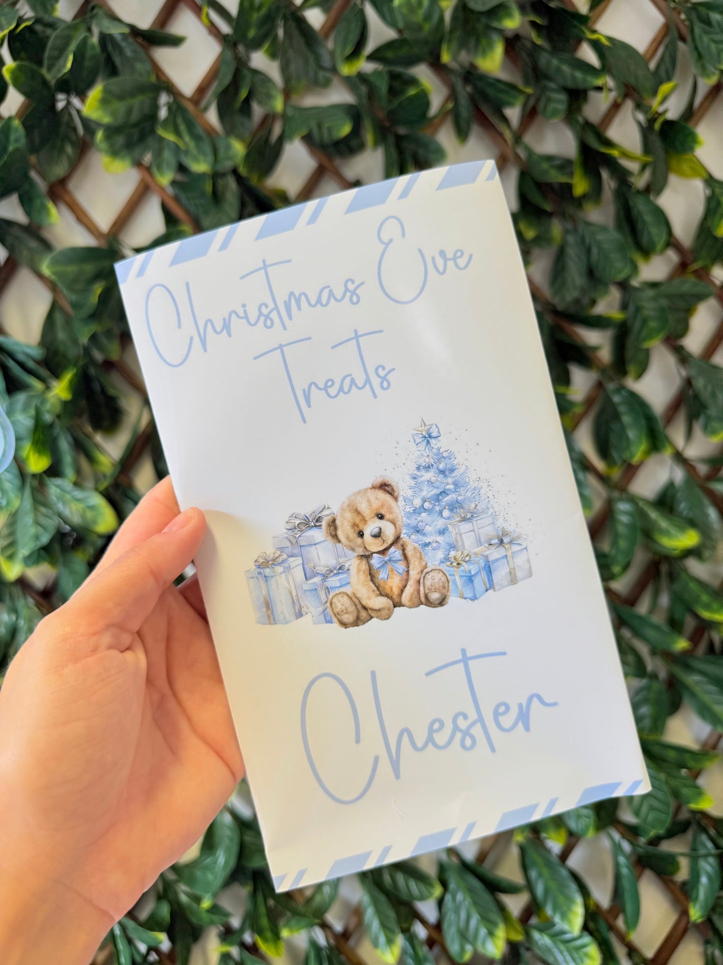 Unfilled Christmas treat packet