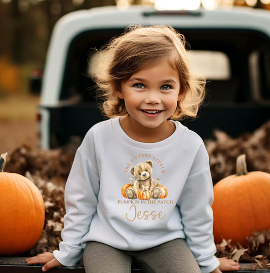 Bear pumpkin patch jumper/sweatshirt