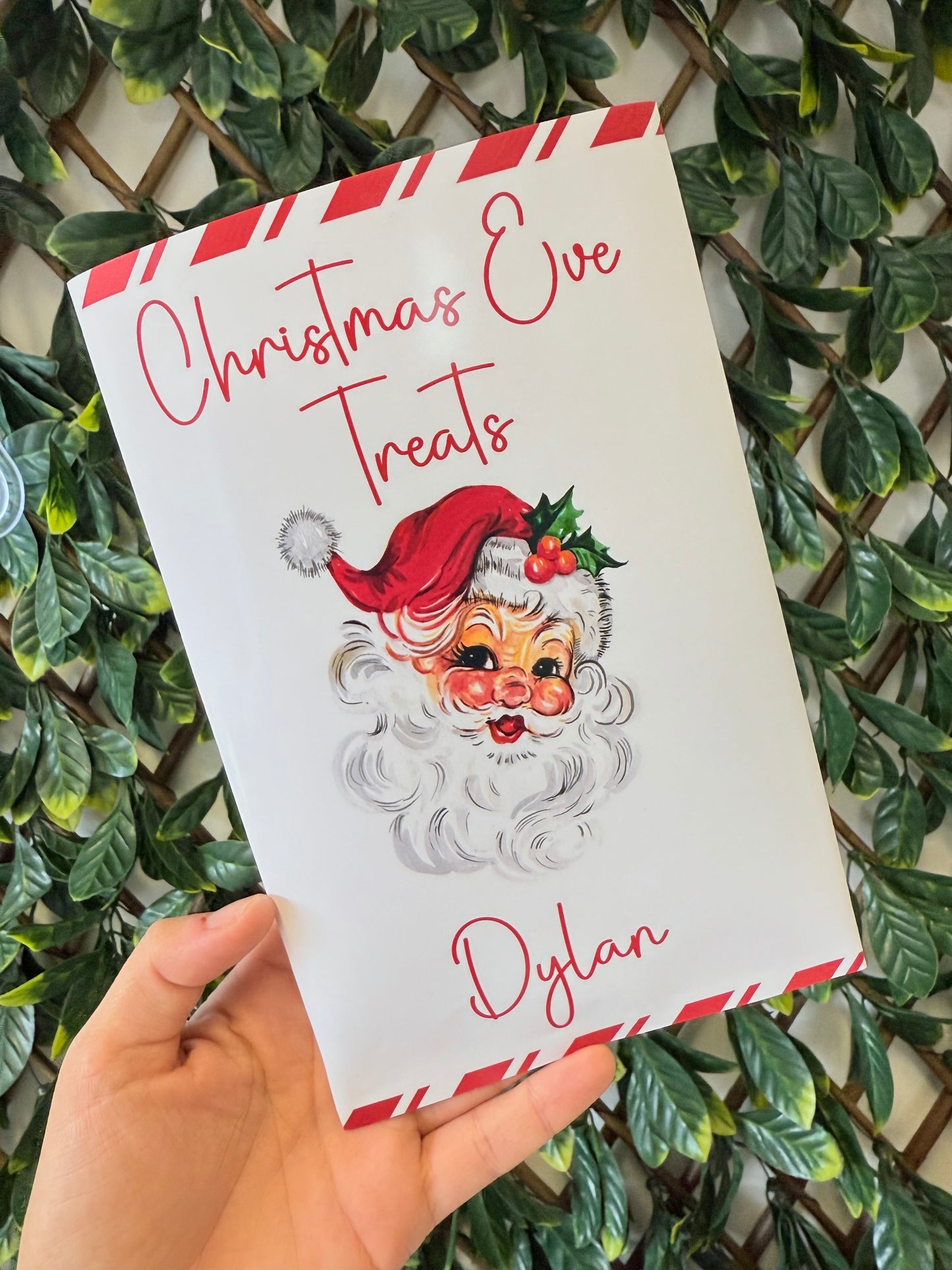 Unfilled Christmas treat packet