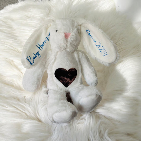 Scan photo bunny