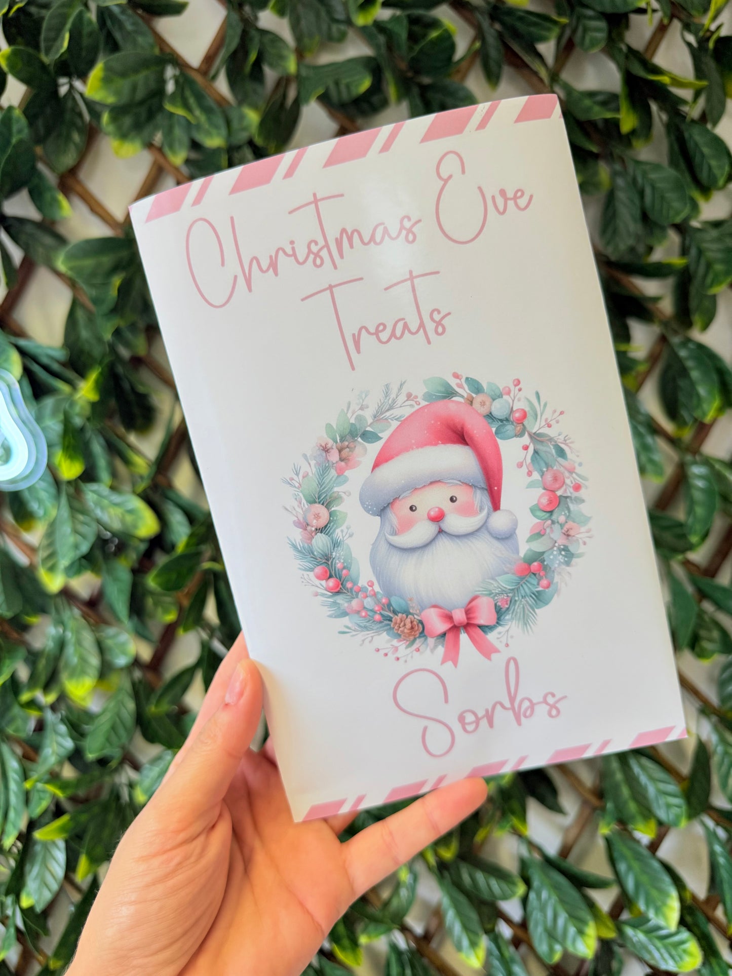 Unfilled Christmas treat packet