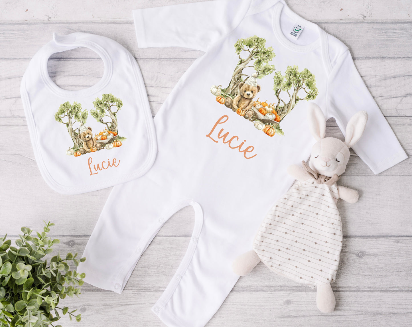 Cute bear pumpkin patch babygrow and bib set